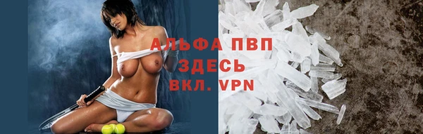 соль ск Ладушкин