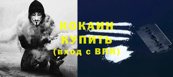 твердый Лабытнанги